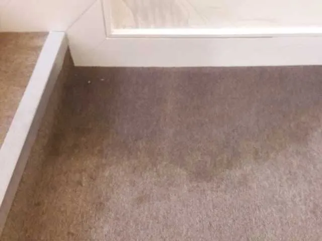 Old carpet Professional stain removal and carpet restoration in Buckinghamshire