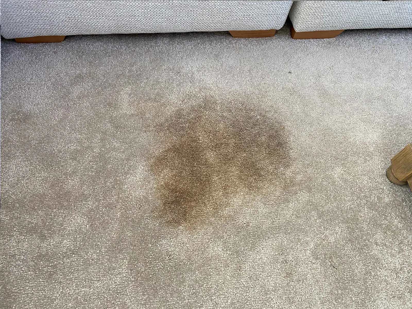 Deep carpet cleaning for home in Bedford by experienced technicians