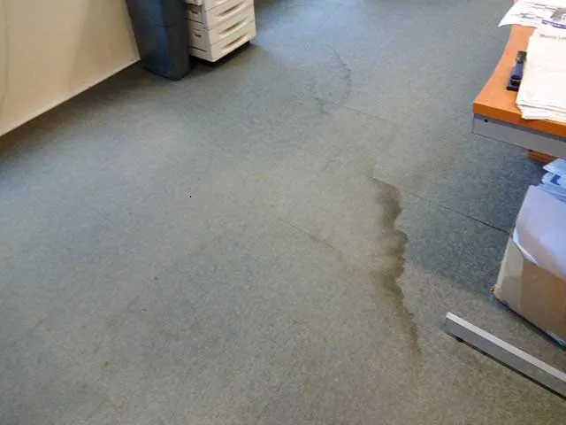 Before and after carpet cleaning results in Bedfordshire home