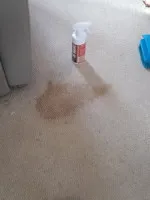 Stained carpet