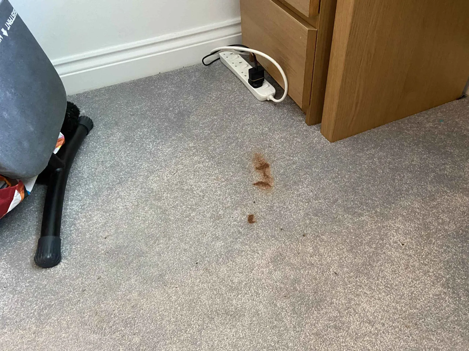 Shire Carpet Services Ltd delivering high-quality carpet and upholstery cleaning