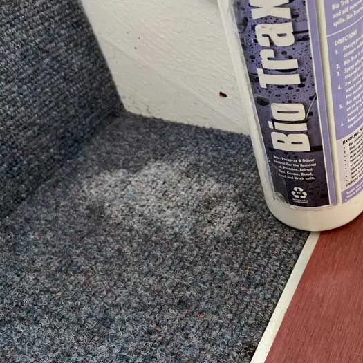 Upholstery cleaning specialist restoring sofa fabric in Hertfordshire
