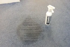 carpet cleaner before