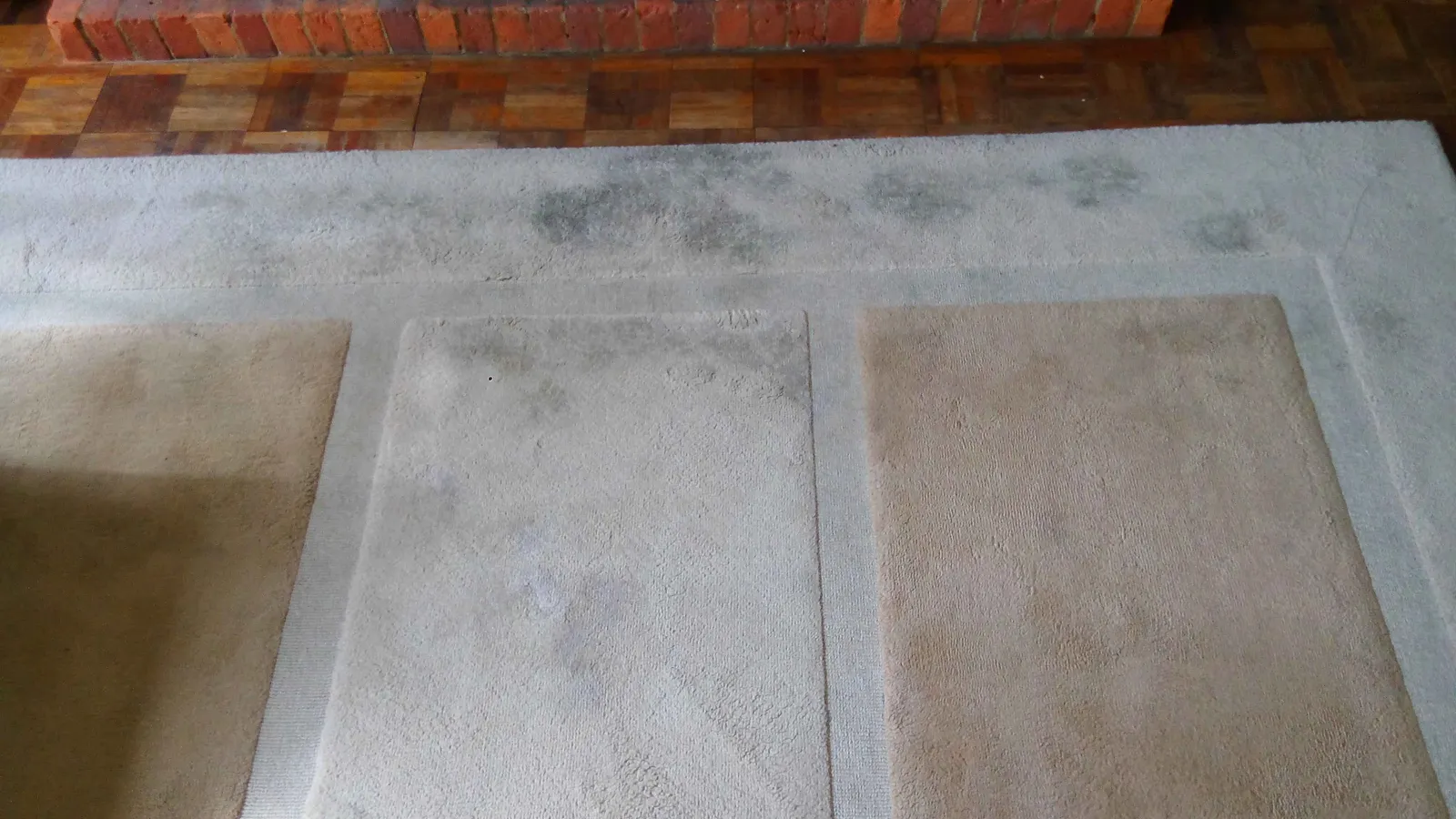 Shire Carpet Services Ltd removing stains from carpet professionally