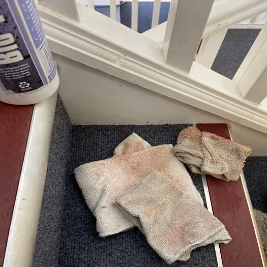 Deep carpet cleaning for home in Bedford by experienced technicians
