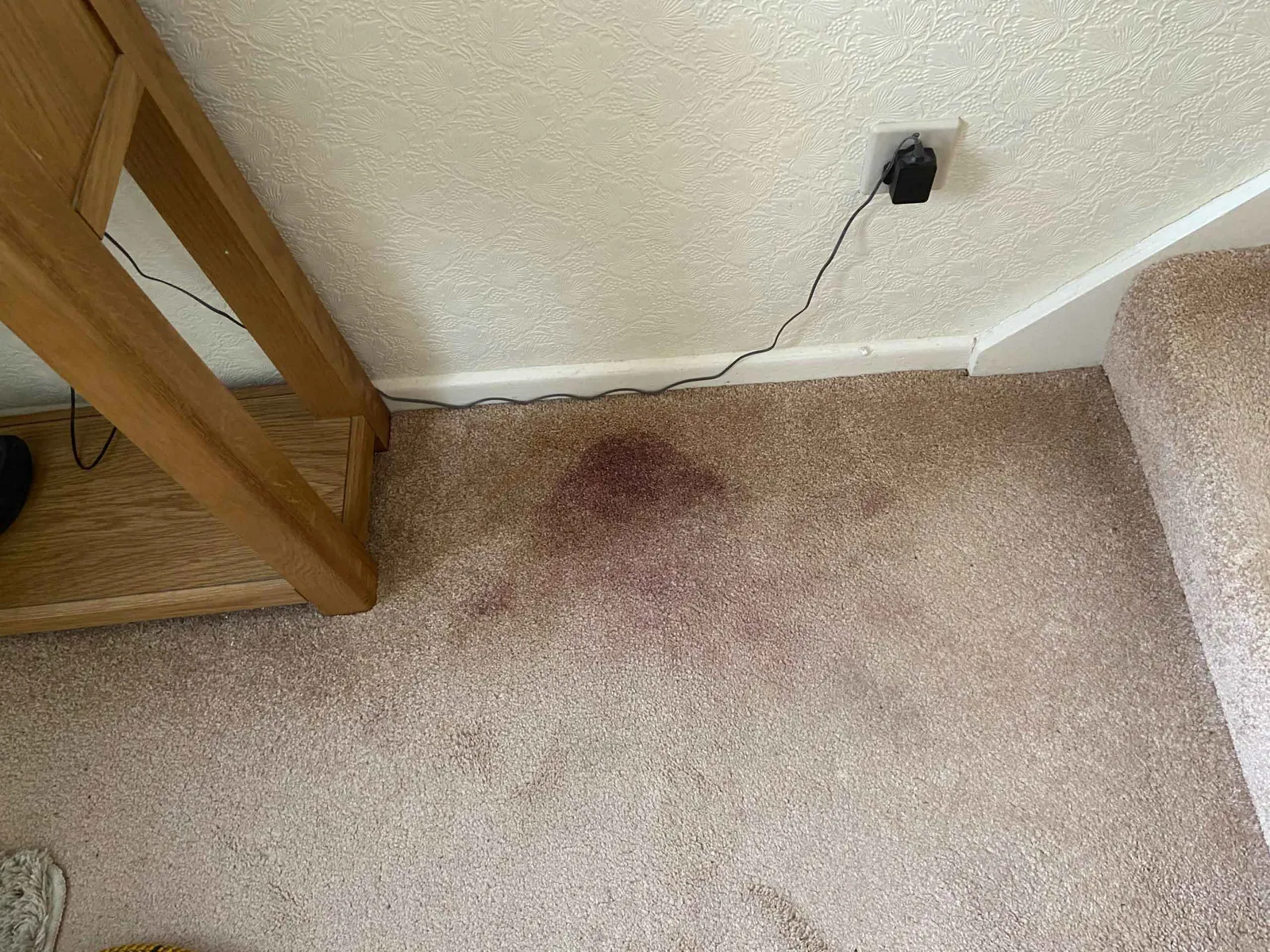 Deep carpet cleaning for home in Bedford by experienced technicians
