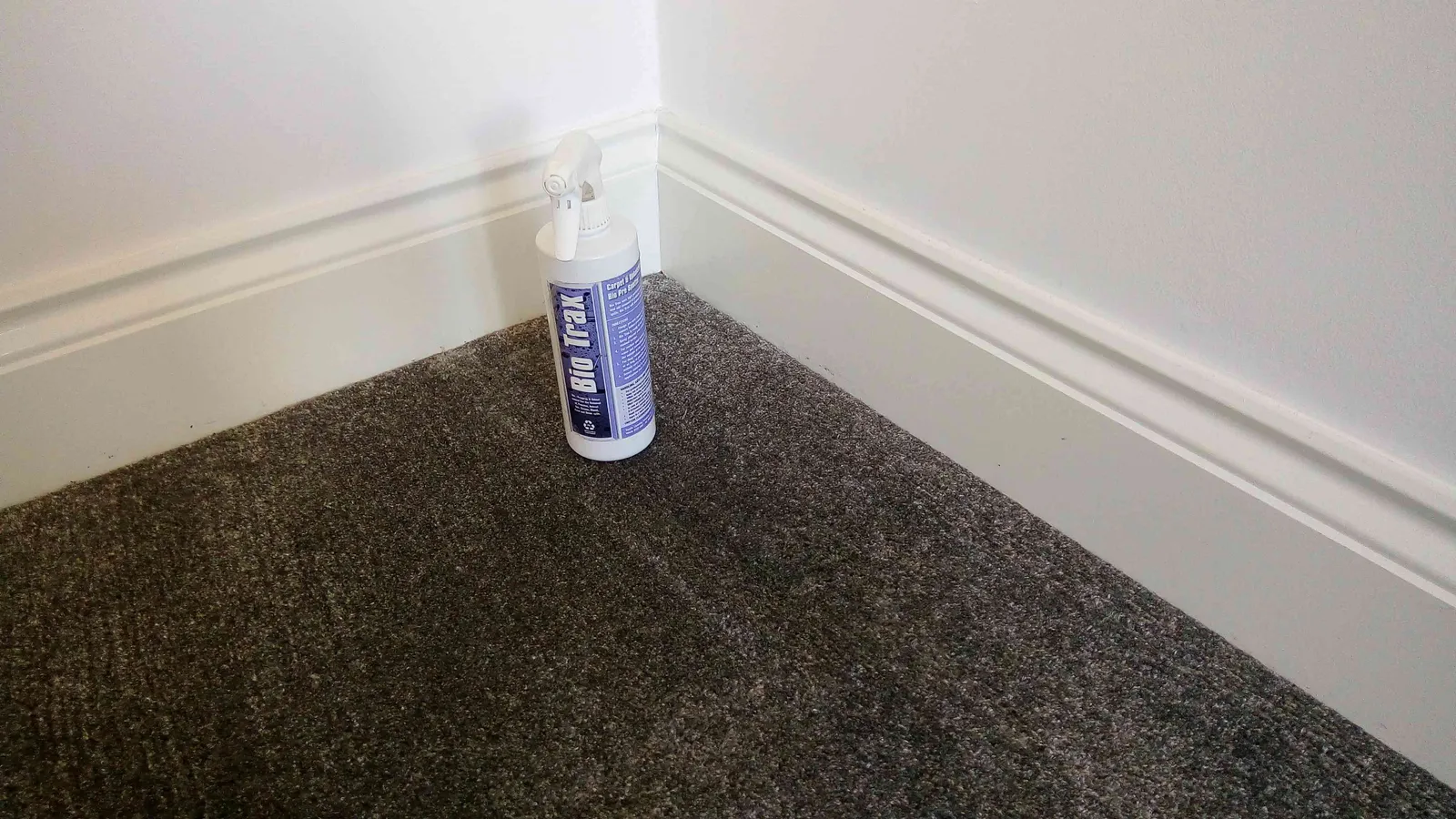 Trusted carpet cleaning company in Bedford with over 30 years’ experience