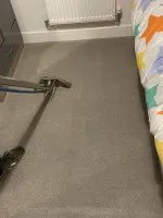 Carpet Stain Removal