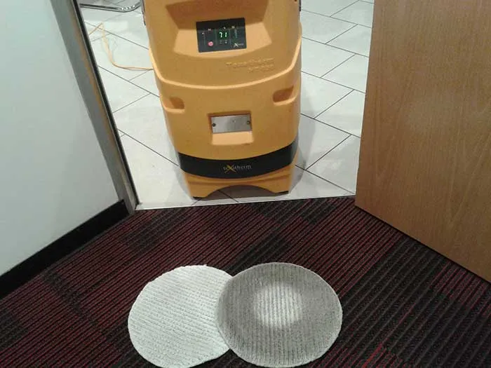 Shire Carpet Services Ltd removing stains from carpet professionally