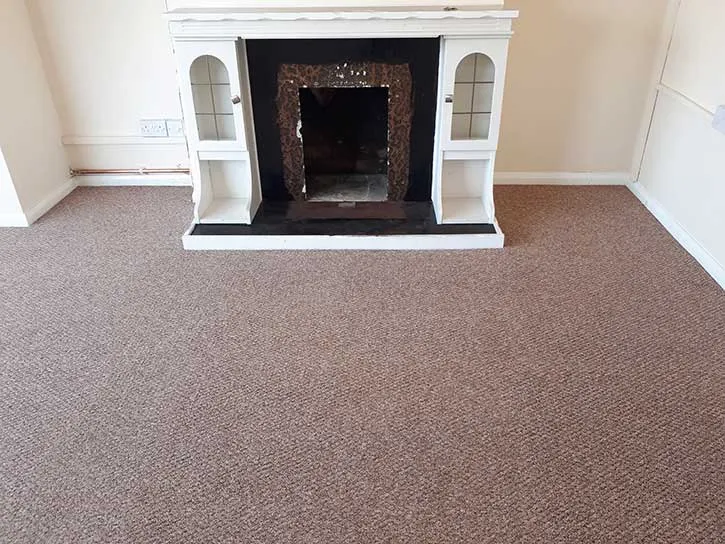 Professional stain removal and carpet restoration in Buckinghamshire