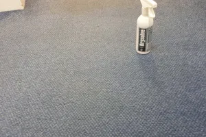 carpet cleaner after