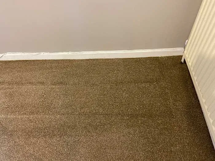 Fully insured upholstery cleaning specialists in Hertfordshire